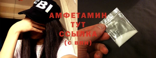 шишки Баксан