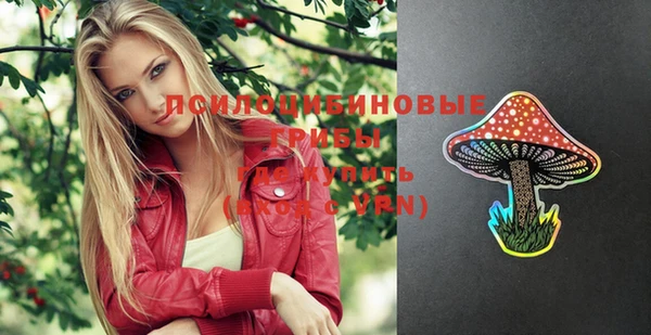 шишки Баксан