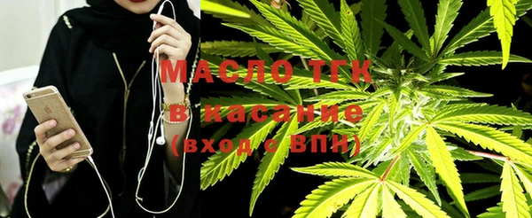 шишки Баксан