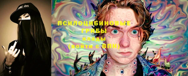бошки Балахна